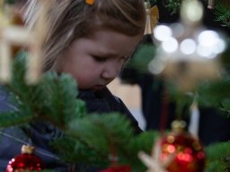 IMG_1301_web